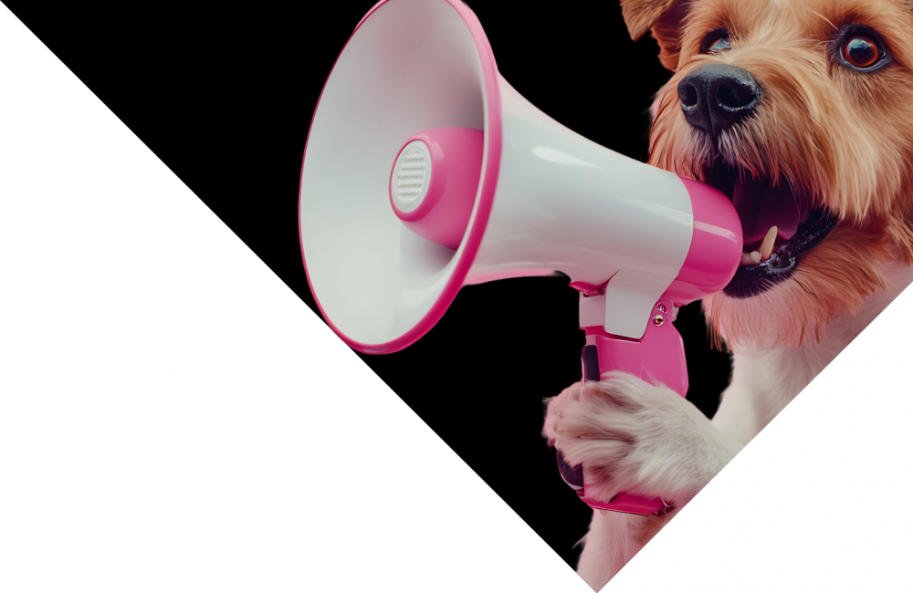 blog-prpredictions-header