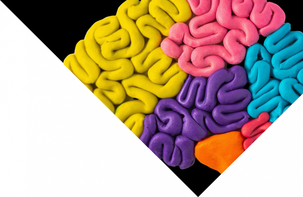 header-blog-fourhuman