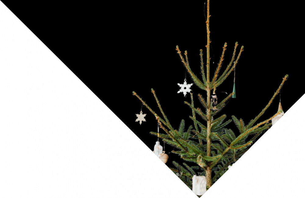 october-mince-pie-header