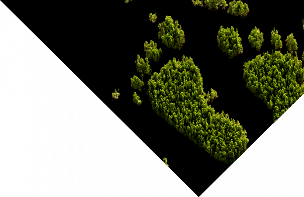 page-speed-carbon-footprint-banner-png