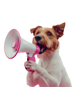 blog-prpredictions-listing