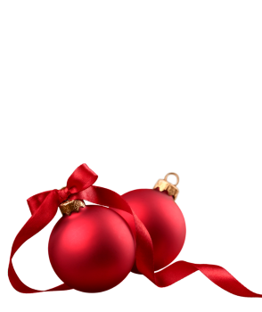 christmas-seo-25-listing