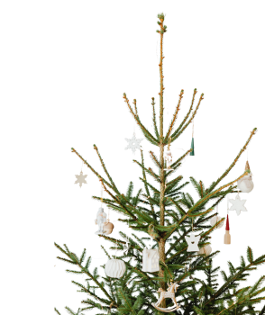 october-mince-pie-listing