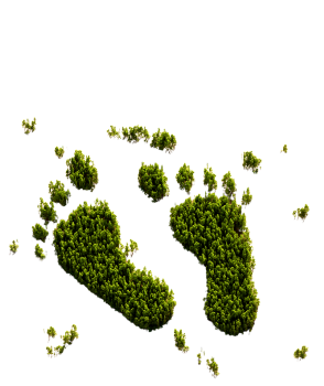 page-speed-carbon-footprint-listing